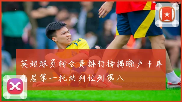 英超球员转会费排行榜揭晓卢卡库高居第一托纳利位列第八