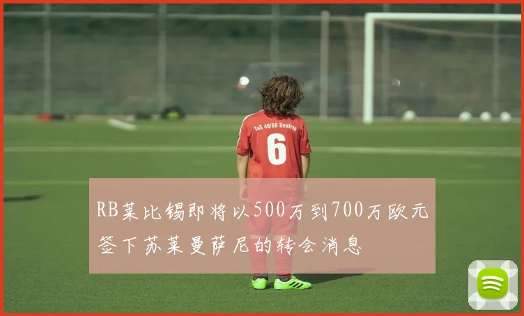RB莱比锡即将以500万到700万欧元签下苏莱曼萨尼的转会消息