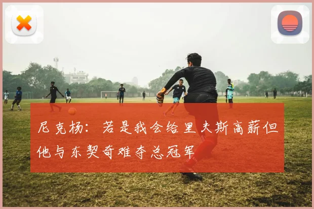 尼克杨：若是我会给里夫斯高薪但他与东契奇难夺总冠军