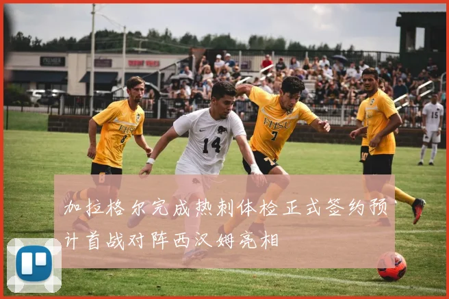 加拉格尔完成热刺体检正式签约预计首战对阵西汉姆亮相