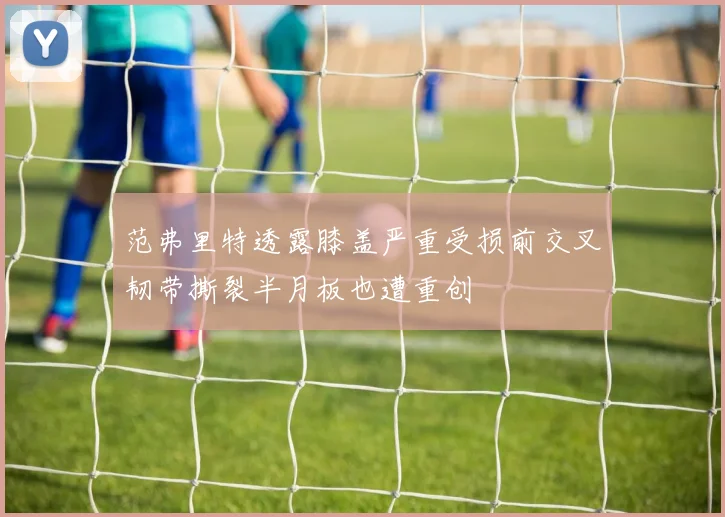 范弗里特透露膝盖严重受损前交叉韧带撕裂半月板也遭重创