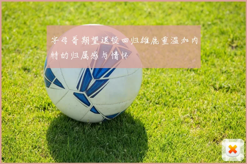 字母哥期望退役回归雄鹿重温加内特的归属感与情怀