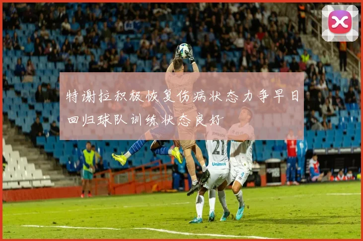 特谢拉积极恢复伤病状态力争早日回归球队训练状态良好